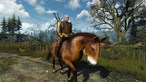 witcher 3 what horse to pick|Saratoga .